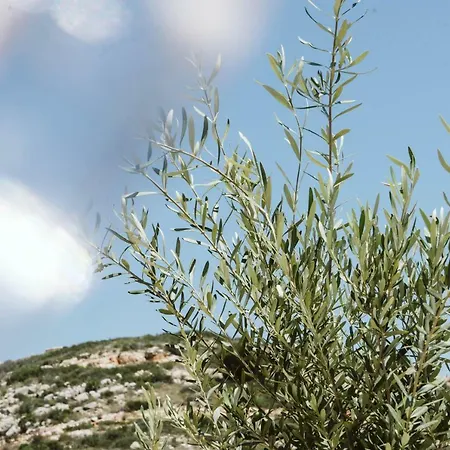 Dreamsea Mediterranean Camp Benitachell